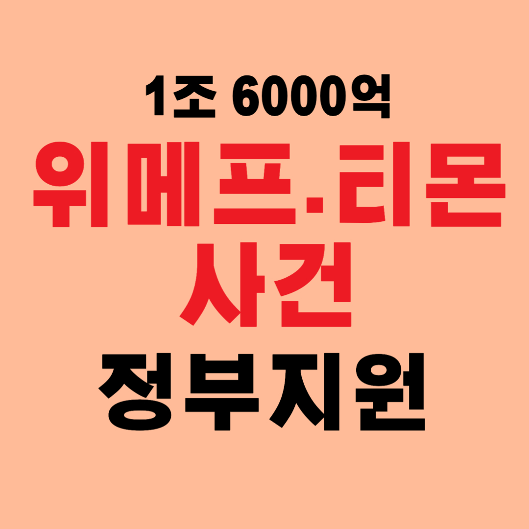 위메프 티몬사태 결국 정부가 1조6000억원 지원한다